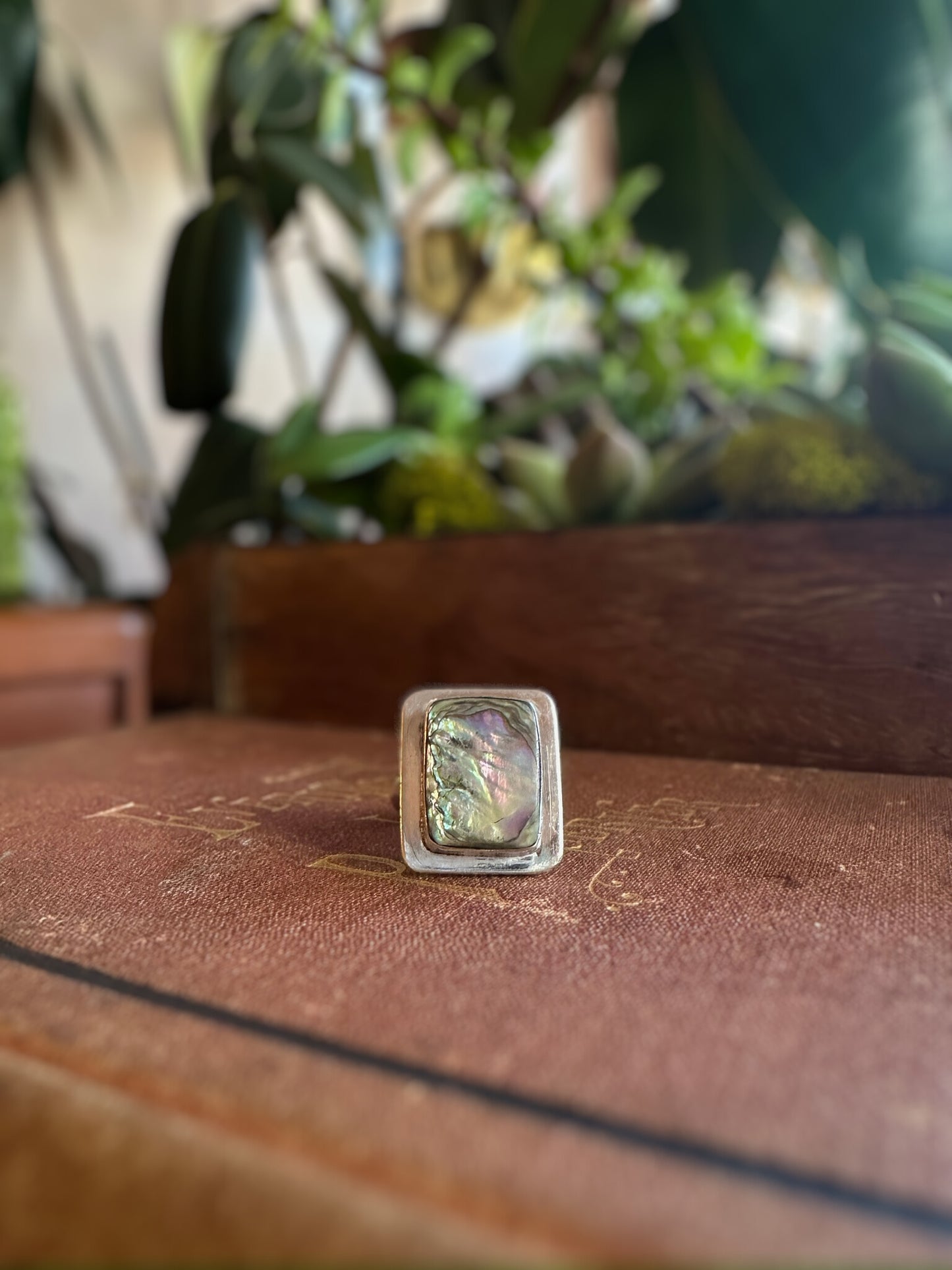 Mexican Abalone Framed Ring (Size 6)