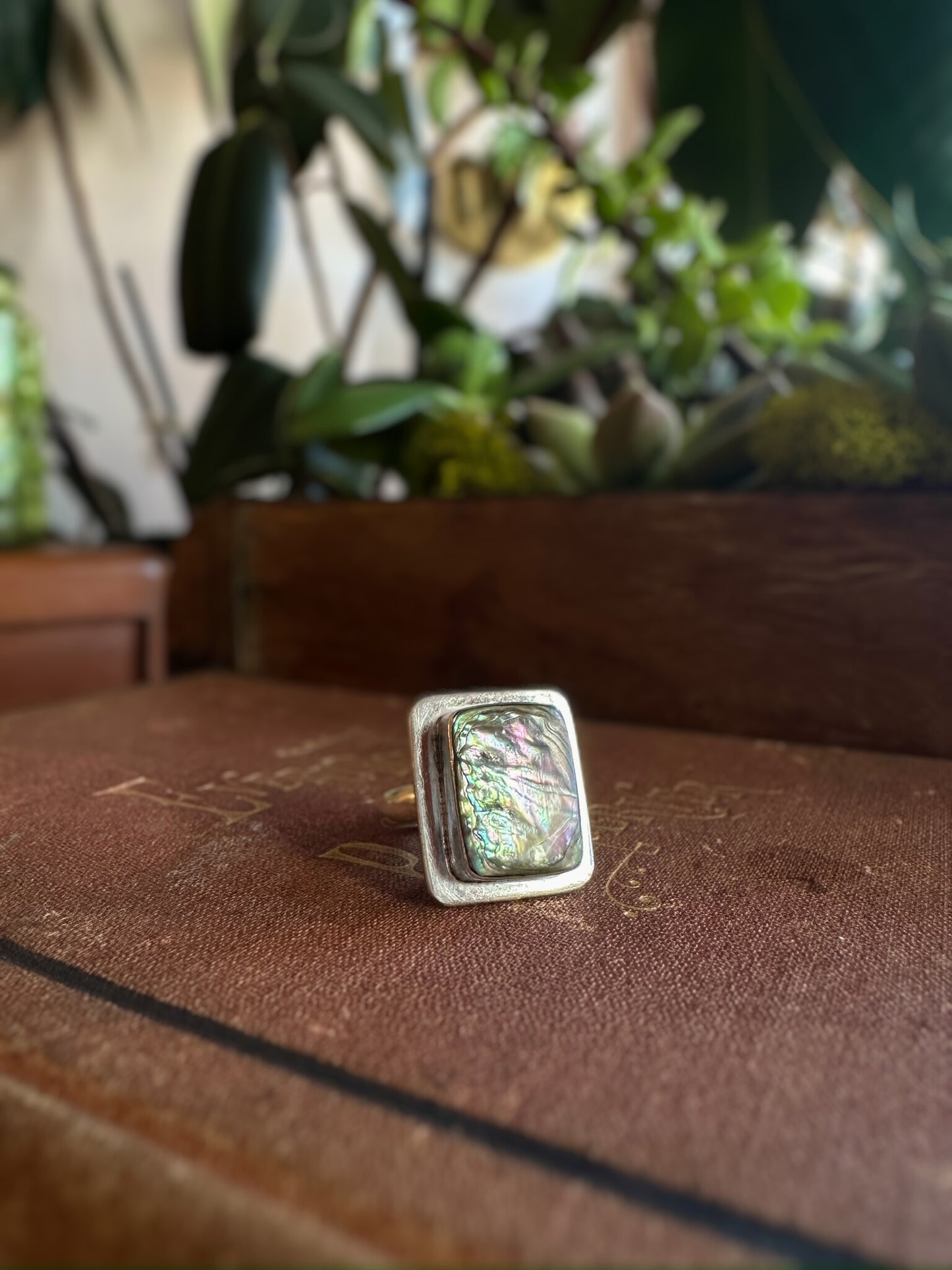 Mexican Abalone Framed Ring (Size 6)