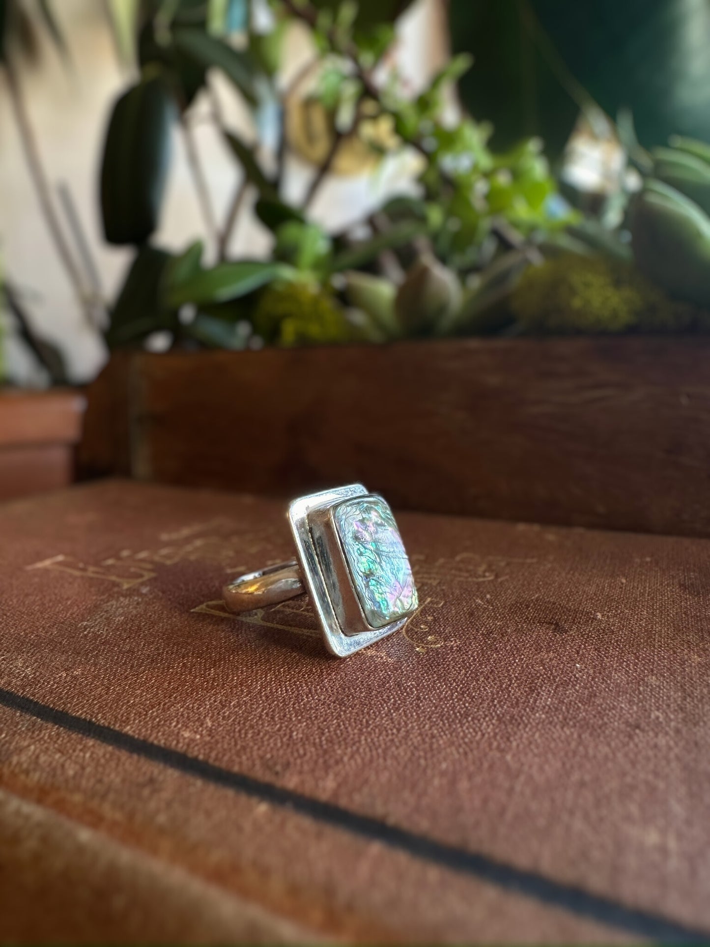 Mexican Abalone Framed Ring (Size 6)